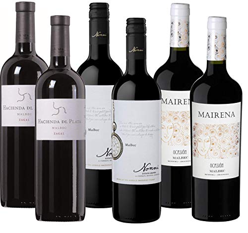 Atlantik Weine, Südamerika Malbec Probierpaket, Weinpaket mit Rotweinen aus Argentinien, Verschiedene Malbec aus Mendoza (6 x 0,75l)